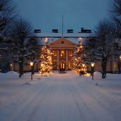 Hågelby hus en vinterdag vid skymning, två julgranar är täckta med snö och har belysning
